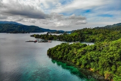 Cavis_DJI_0247
