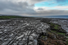 Cavis_Ireland-0812952