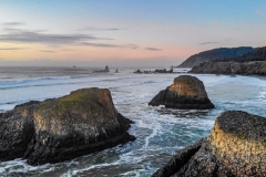 Cavis_OR-0813209