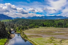 Cavis_WA_0814918