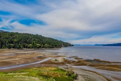 Cavis_WA_0814920
