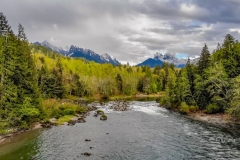 Cavis_WA_0814922