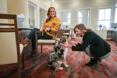 P1088664_Leasing-Desk_Woman-Dog