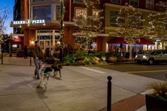 WCV_Holiday-Lights_7380078